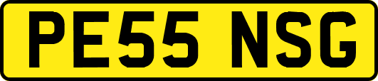 PE55NSG