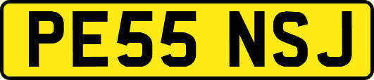 PE55NSJ