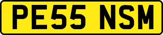 PE55NSM