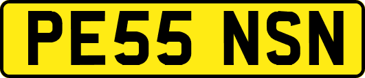PE55NSN