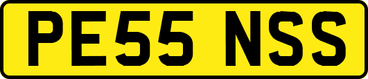 PE55NSS