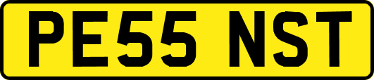 PE55NST