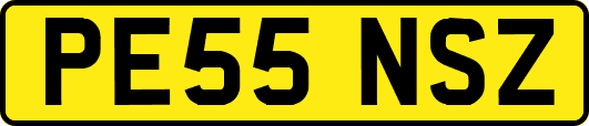 PE55NSZ