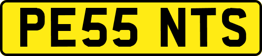 PE55NTS