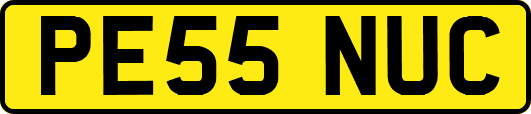 PE55NUC