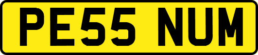 PE55NUM