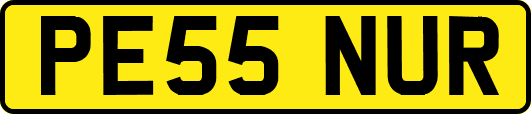 PE55NUR