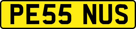 PE55NUS