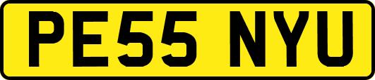 PE55NYU