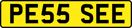 PE55SEE