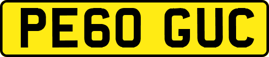 PE60GUC