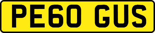 PE60GUS