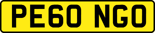 PE60NGO