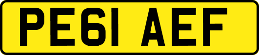 PE61AEF