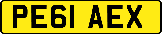 PE61AEX