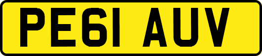 PE61AUV