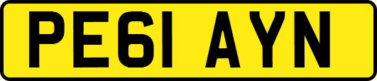 PE61AYN