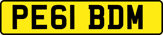 PE61BDM