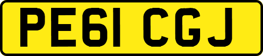 PE61CGJ