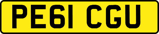 PE61CGU