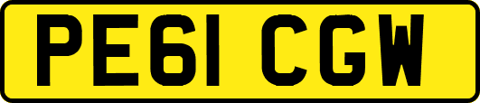 PE61CGW