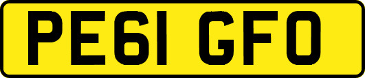 PE61GFO