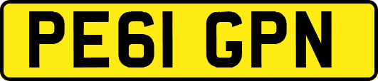 PE61GPN