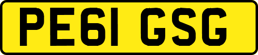 PE61GSG