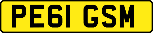 PE61GSM