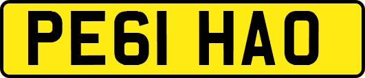 PE61HAO