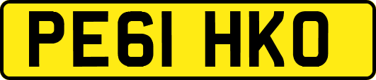 PE61HKO