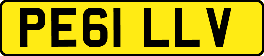 PE61LLV