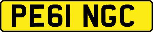 PE61NGC