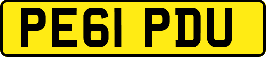 PE61PDU