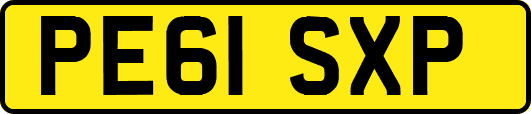 PE61SXP