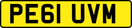 PE61UVM