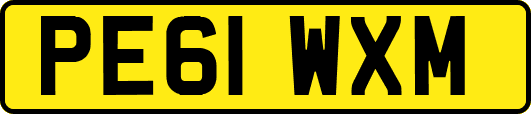 PE61WXM