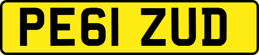 PE61ZUD