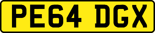 PE64DGX