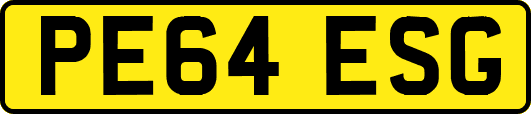 PE64ESG