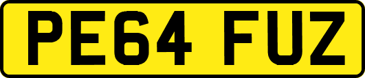 PE64FUZ