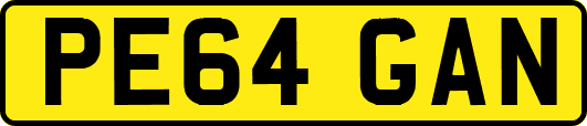 PE64GAN