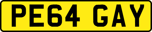 PE64GAY
