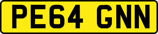 PE64GNN
