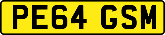 PE64GSM
