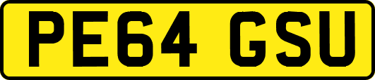 PE64GSU