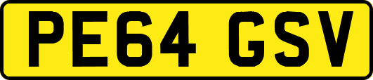 PE64GSV