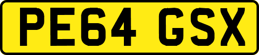 PE64GSX