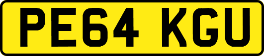 PE64KGU