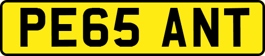 PE65ANT